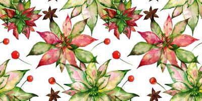 Christmas traced watercolor floral seamless pattern on white background. Poinsettia and fir-tree and winter berries. Decor for Christmas and New Year textiles and wrapping paper and greeting cards vector