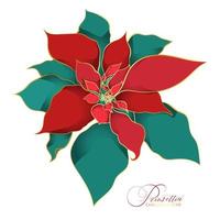 Poinsettia christmas star flower. A branch of green and red silk leaves with a filigree golden line in an Asian trend. Elegant and luxurious decorations for the Christmas celebrations vector