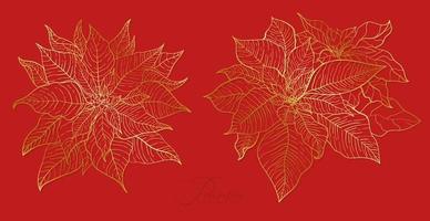 Red Poinsettia inflorescence in an elegant golden line. Elements for Christmas and New Year holidays decorations. vector