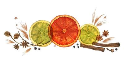 Composición de acuarela navideña con naranjas y conos y canela y anís sobre fondo blanco. decoración para lindas invitaciones y saludos de navidad y año nuevo vector