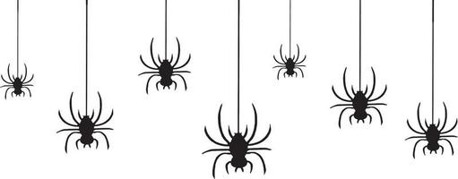 Halloween spiders falling down with a white background vector
