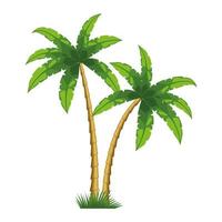 two tropical trees palms vector