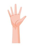 hand human stop vector