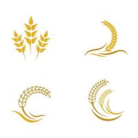 Wheat logo images vector