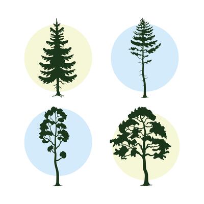 bunsle of four trees plants forest silhouettes
