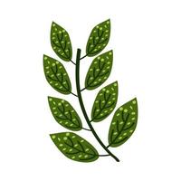 exotic branch foliage vector