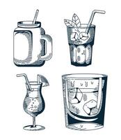 paquete de cuatro bebidas set iconos vector