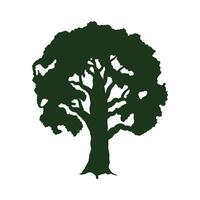 árbol verde frondoso planta silueta bosque icono vector