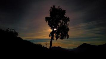 Zeitraffer bei Sonnenuntergang in den Bergen mit einer Birkenpflanze in Silhouetten video