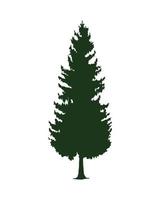 Icono de silueta de árbol de pino frondoso verde vector