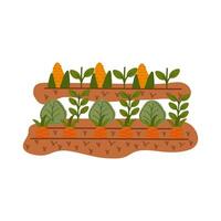 carrots cultive organic scene icons vector