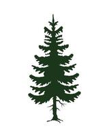 green leafy pine tree silhouette vector