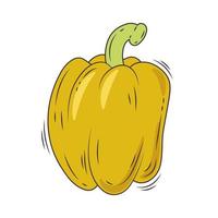 calabaza vegetal saludable vector