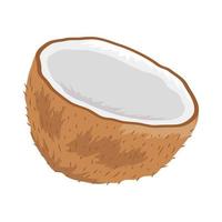 fresh coconut fruit vector