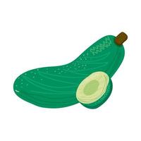 cucumber vegetable healthy food icon vector