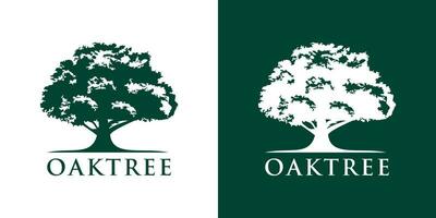 oak tree logo vector
