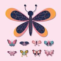 conjunto de mariposas sobre un fondo rosa vector