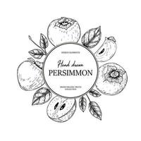 Hand drawn vintage persimmon design. Vector illustration in sketch style.