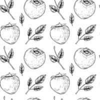 Vintage seamless pattern with hand drawn persimmon fruits and leaves. Vector illustration in sketch style.