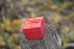 pequeña caja de regalo roja en el bosque foto