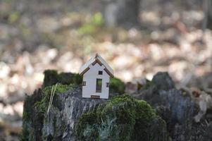 Model of a small wooden house in the forest photo