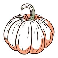 imagen de calabaza madura. Ilustración de comida de otoño. bosquejo de calabaza fresca. elemento para el diseño decorativo de otoño, invitación de halloween, cosecha, pegatina, impresión, logotipo, menú, receta vector