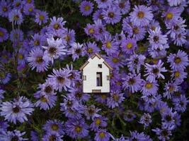modelo de una pequeña casa de madera en flores foto