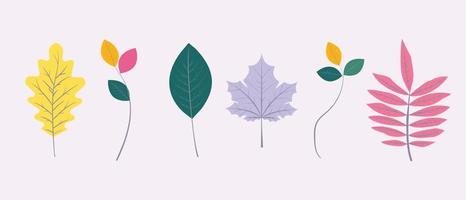 coloridas hojas de otoño para cualquier proyecto. hojas aisladas. hojas de roble, serbal, arce, haya. vector