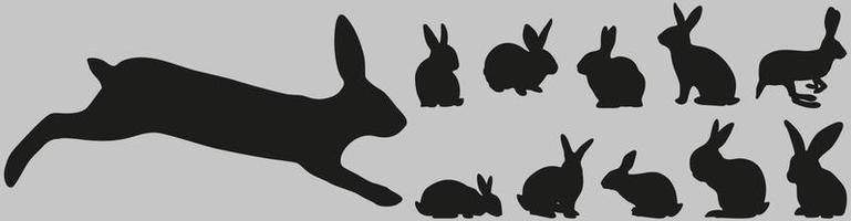 Conjunto de siluetas de conejo, conjunto de ilustración de silueta de conejo