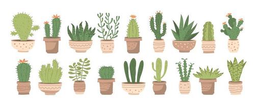 Big houseplants set with different cute cacti and succulents in pots vector