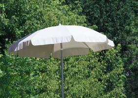 sun umbrella with trees photo