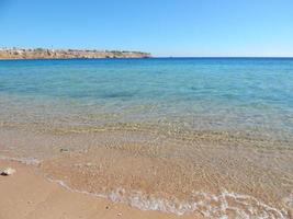 Nature beaches of the resort in Egypt Sharm El Sheikh photo