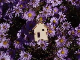 Model of a small wooden house in flowers photo