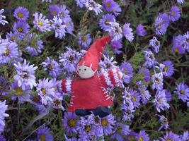 Red little gnome on a background of flowers photo