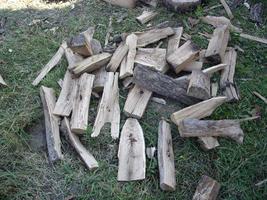 Chopping wood from palen for the winter for the stove photo