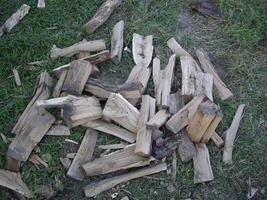 Chopping wood from palen for the winter for the stove photo