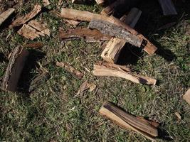 Chopping wood from palen for the winter for the stove photo