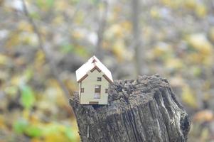 Model of a small wooden house in the forest photo