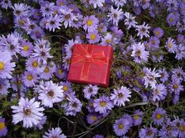 Small gift box on a background of blue flowers photo