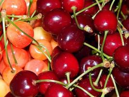 Still life of fruit in various compositions, cherry photo