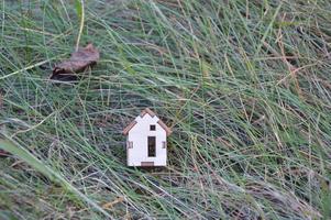 modelo de una pequeña casa de madera en el bosque foto