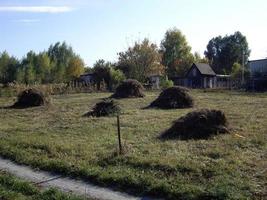 Haystack in the village and garden photo