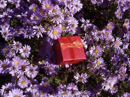 pequeña caja de regalo sobre un fondo de flores azules foto