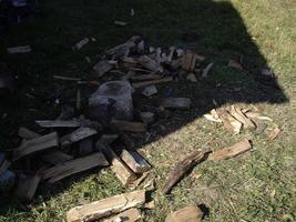 Chopping wood from palen for the winter for the stove photo