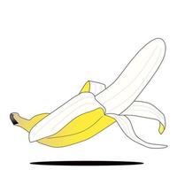 un vector de plátano pelado. negocio de alimentos y bebidas.