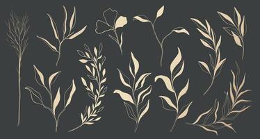 Plant nature gold hand drawn set. Collection botanical element.Elegante vintage style. vector