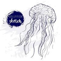 Vintage animal jellyfish marine sketch.Retro line style medusa.Hand drawn underwater.Vector illustration. vector