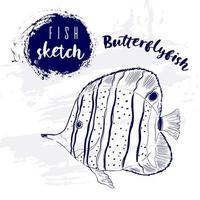 Vintage animal butterflyfish marine sketch.Retro line style.Hand drawn underwater.Vector illustration. vector