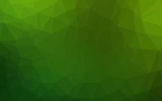 Light Green vector blurry triangle pattern.