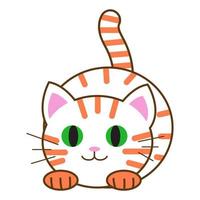 Funny cartoon cat, cute vector illustration in flat style. White and orange cat. Smiling fat kitten. Positive print for sticker, cards, clothes, textile, design and decor